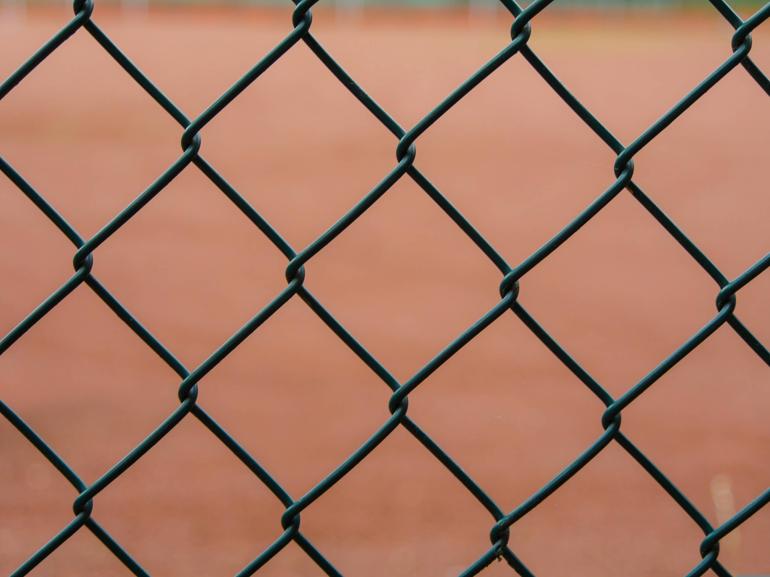 fence, wire mesh, border, barrier, separate, separation, fencing, wire mesh fence, wire, delimitation, sheathing, braid, garden fence, exclusion, locked, fenced in, diagonal, security, protection, defense, caught, captivity, diamond, template